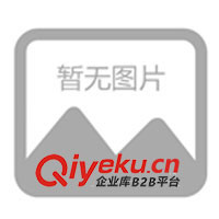 廈門(mén)螺桿式空壓機(jī)干燥機(jī)精密過(guò)濾器RK090QPS級(jí)